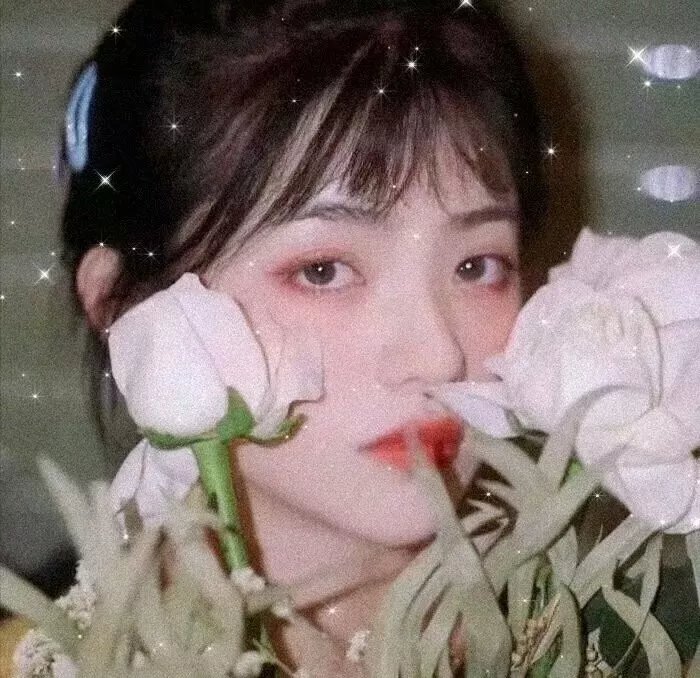 代号十三钗